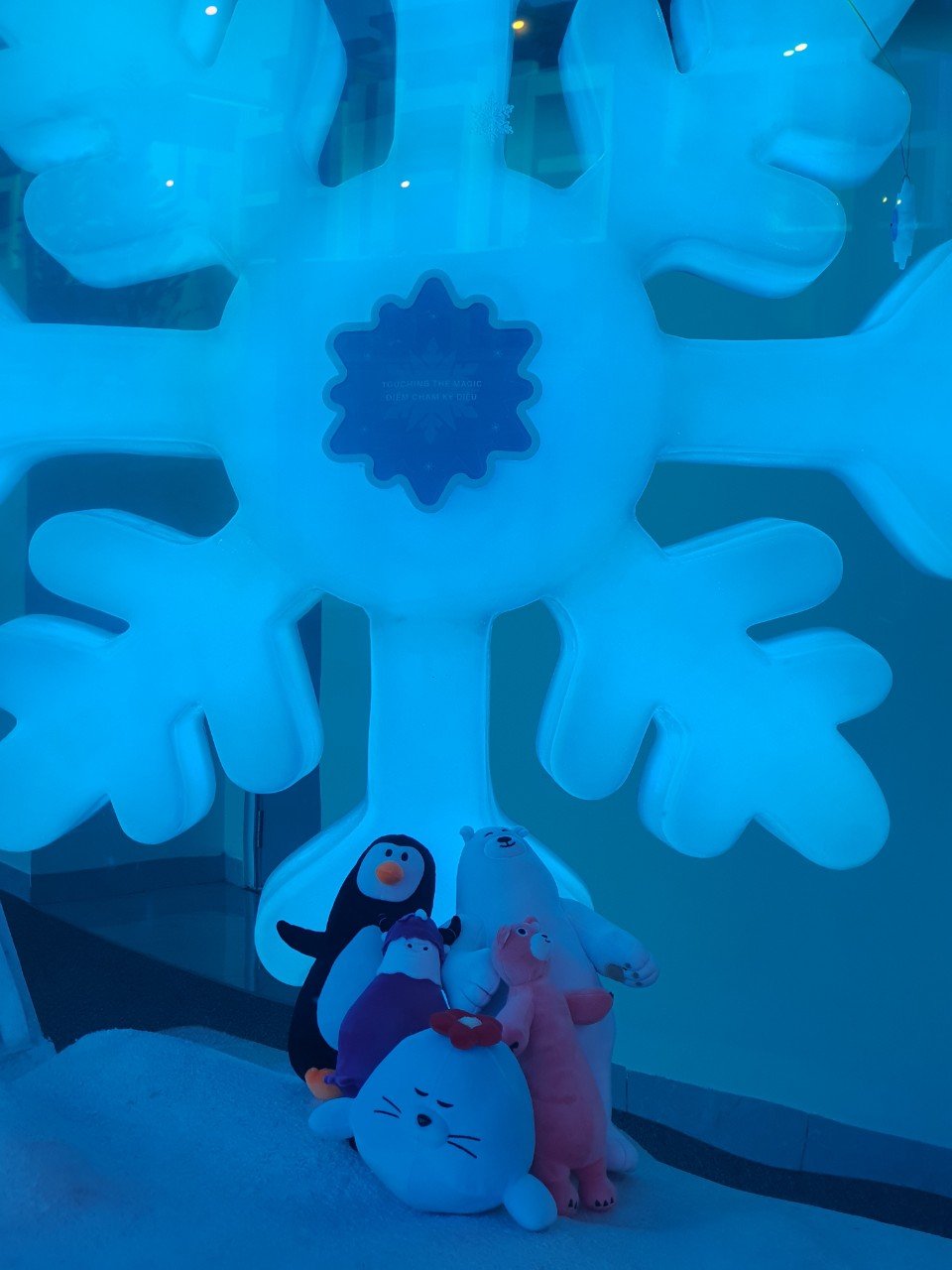 Đồ Lưu Niệm – Ice Jungle
