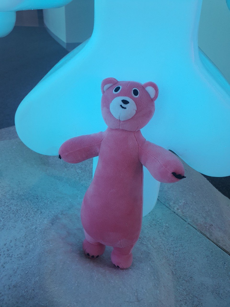 Đồ Lưu Niệm – Ice Jungle